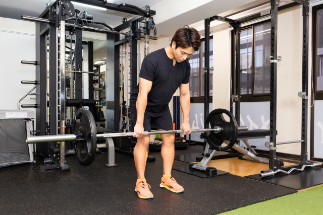 拮抗筋をバランスよくトレーニング